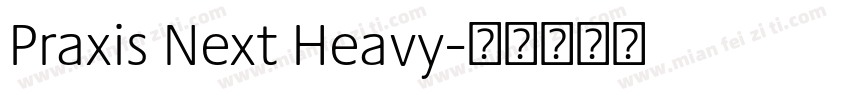 Praxis Next Heavy字体转换
